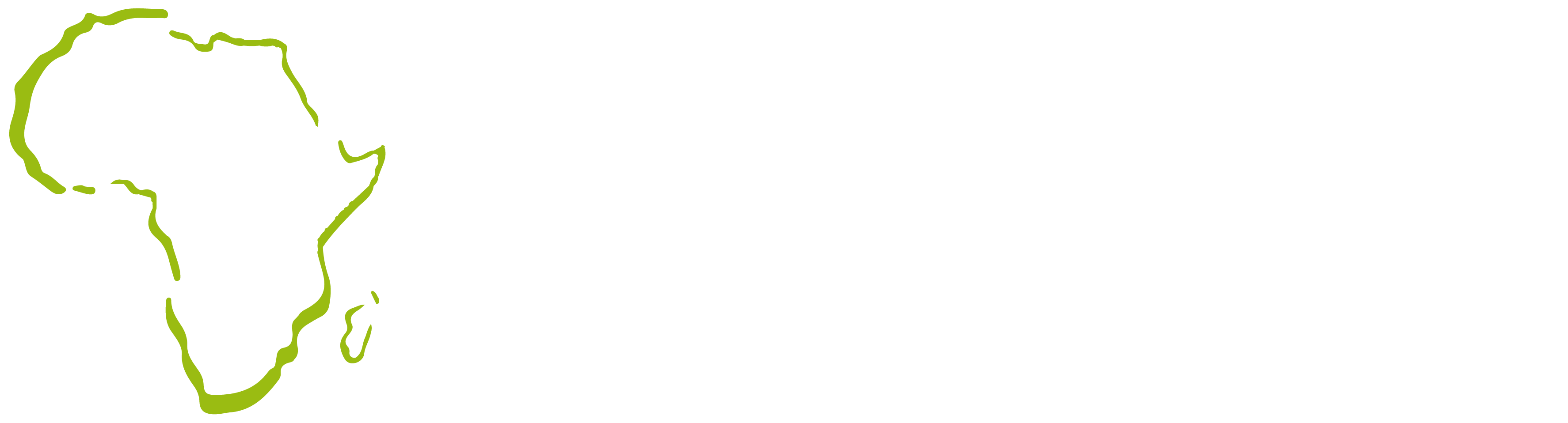 Property Solutions Africa